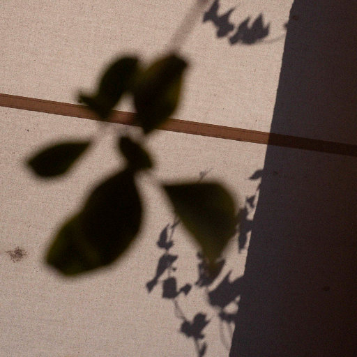 崔乂园裸体无删减视频网站
